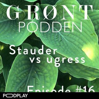 #16 Stauder vs. ugress