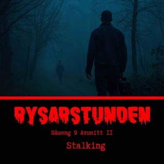 Stalking - S9E11 (134)