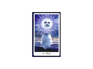Titillating Tarot With Jason Livanis