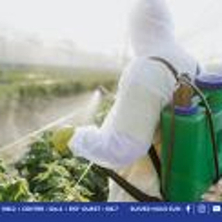 Pesticides et santé dans ‘Korek Pas Korek’ : « Nu bizin fer ban suivi individuel sak planteur », lance Kreepalloo Sunghoon
