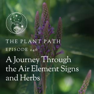 A Journey Through the Air Element Signs and Herbs