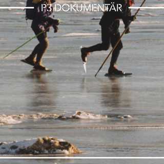 Dödsolyckan på Mälarisen