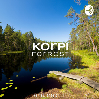 Korpi ForRest tiimin kanssa hetki metsässä