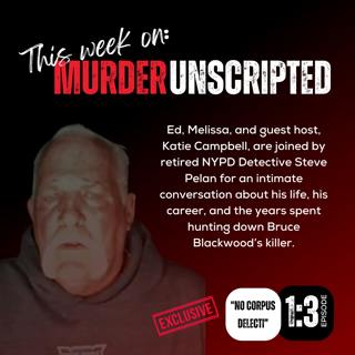 Ep:3 - A Conversation with (ret.) NYPD Det. Steve Pelan