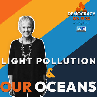 Marine Light Pollution: An Emerging Environmental Threat