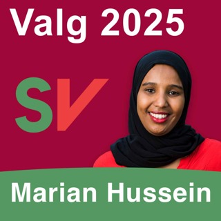 Helsevalget 2025: Marian Hussein (SV) - Vil legge ned Beslutningsforum