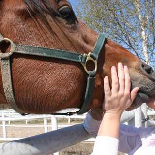 När det värsta har hänt