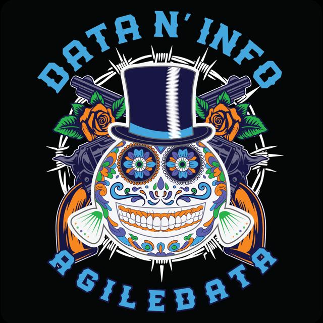 Agile Data N’ Info