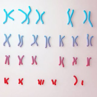 Diagnosing Congenital and Intellectual Abnormalities With Chromosomal Microarray Analysis