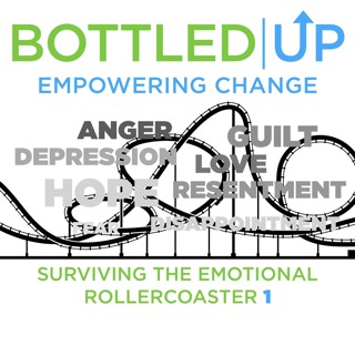 Part 1 - Surviving the emotional rollercoaster