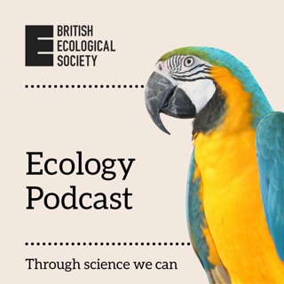 Plastic social buffering of environmental variation | a Special Feature for Journal of Animal Ecology