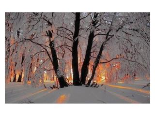 Winter Solstice Blessings + Weekly Energies