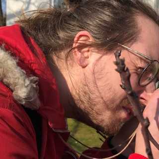 Liftande insekter och knoppar som brister