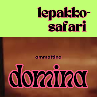 Ammattina Domina - Silja Vastera