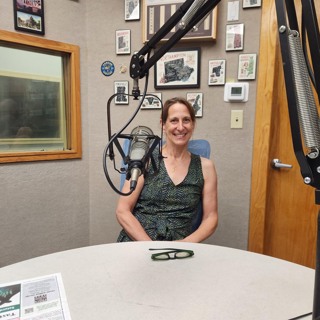 Carolyn Misch, Northampton Director of Planning & Sustainability: Picture Main Street Project
