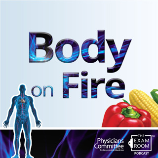 Body on Fire: Preventing Inflammation and Illness