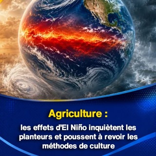 Agriculture : les effets d’El Niño inquiètent les planteurs et poussent à revoir les méthodes de culture