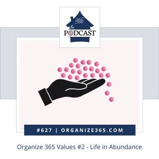 627 - Organize 365 Values #2 - Life in Abundance