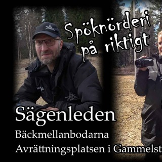 Sägenleden del 2, Vlogg, podd, sommarserien