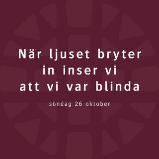 När ljuset bryter in inser vi att vi var blinda – Martin Klemetz