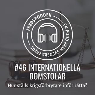 #46 - INTERNATIONELLA DOMSTOLAR - Hur ställs krigsförbrytare inför rätta?