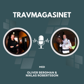 V86 Tips Solvalla & Åby 13/11 ∣ JACKPOT ∣ Travmagasinet med Bergman & Robertsson.