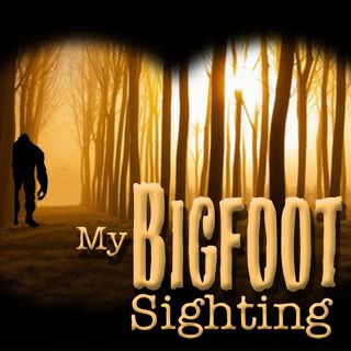 The Sasquatch I saw was Ceiling Height - My Bigfoot Sighting Shorts Episode 13
