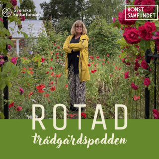 Titte Törnroth vänder blad