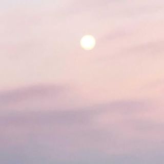 Mind as Manas-Vijnana