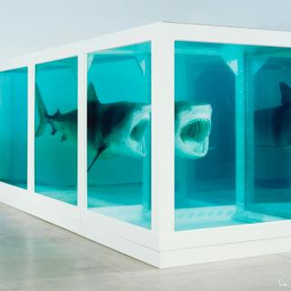 TLDR Damien Hirst | The Physical Impossibility of Death in the Mind of Someone Living