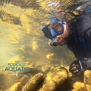 How the Heckin' HECK Do You Find Endangered Fish?