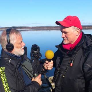Piteälvens delta och tjäderspel