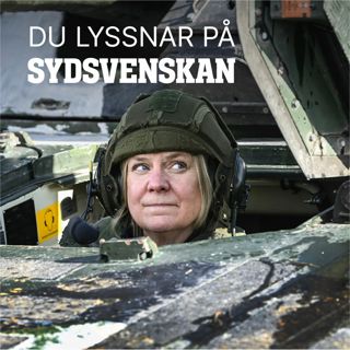 Kan Natoansökan göra Sverige till måltavla?