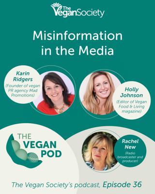 Misinformation In The Media