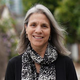 274: The Bail Project, Still She Rises, and The Bronx Defenders - Robin Steinberg