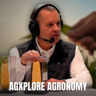 5 Phases to Better Crops – Plant Health & Nutrient Strategy for 2025