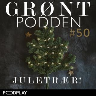 #50 Juletrær!