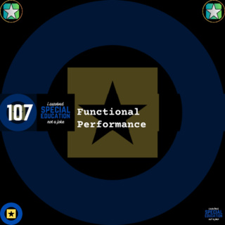 107 Isolating Disability: Functional Performance