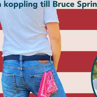 Kvällspasset med Lars Svan: Min vaga koppling till Bruce Springsteen