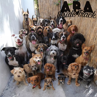 Episode 210 - Multiple Exemplars