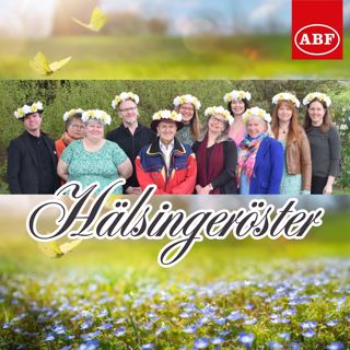 Hälsingeröster 2025 Avsnitt 11 Kerstin Rens