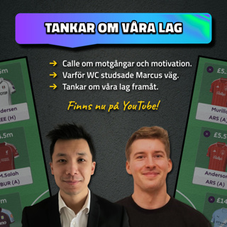 30. Tankar om våra lag | Misstag, problem & planer framåt | Fantasy Premier League 25/26