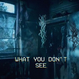 What You Don't See