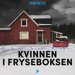 Kvinnen i fryseboksen (1:4) Likfunnet 