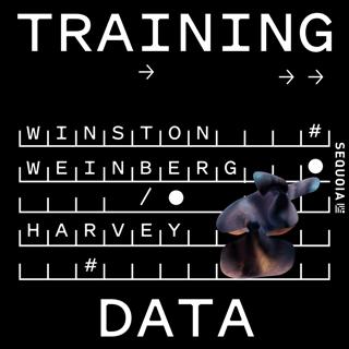 How AI Breakout Harvey is Transforming Legal Services, with CEO Winston Weinberg