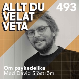 Allt du velat veta