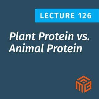 Plant Protein vs Animal Protein: What the Science Really Says