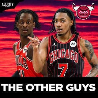 OTHER GUYS: Expectations for Dailyn Swain, Rob Dillingham & Leonard Miller | CHGO Bulls Podcast