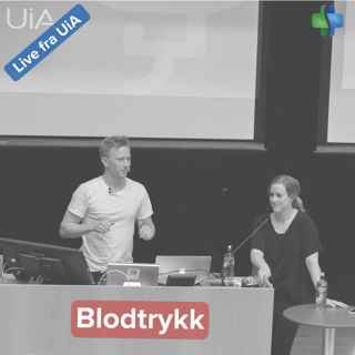 Blodtrykk og blodtrykksrefleks (forelesning ved Universitetet i Agder)