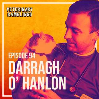 Ep 94: Veterinary Dermatology With Dr Darragh O' Hanlon AKA @thetopicalvet
